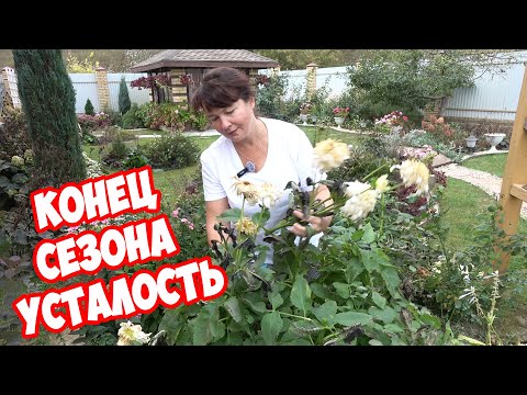 Видео: Сад, советы, блог и ностальгия... Я устала или выгорела?