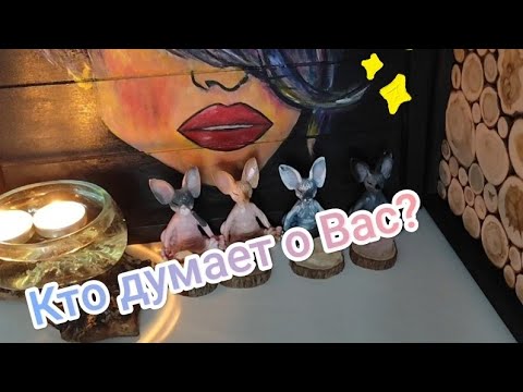 Видео: ✨🧐Кто думает о Вас?