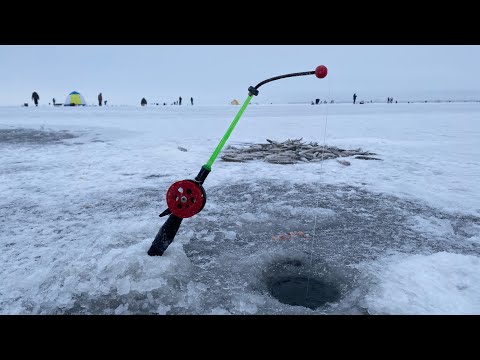 Видео: Ловля корюшки на дамбе Финского залива | Реакция корюшки на изменение погоды | Корюшка 2021