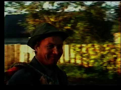 Видео: Архив села Комсомольское 2005 год .Жнива....