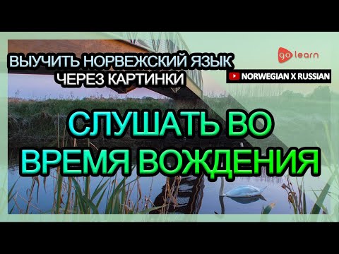 Видео: Выучить норвежский язык через картинки |норвежский язык словарь слушать во время вождения | Golearn