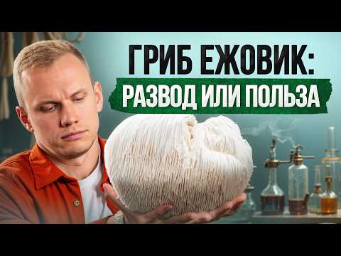 Видео: НЕ покупай ЕЖОВИК гребенчатый, пока не посмотришь это видео!