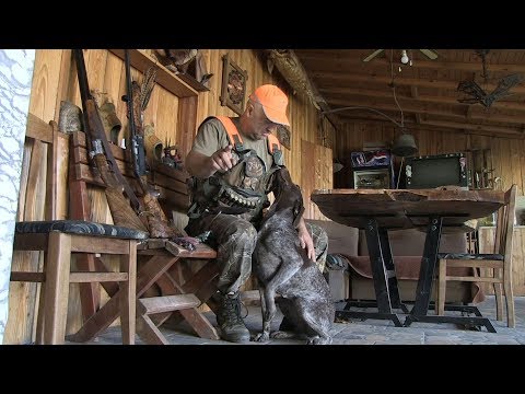 Видео: Ловците край Дунава напразно чистиха пушки за отстрел на дива свиня/ВИДЕО/