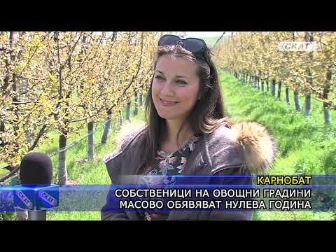 Видео: Собственици на овощни градини масово обявяват нулева година