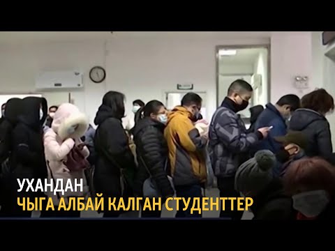 Видео: Ухандан чыга албай калган студенттер