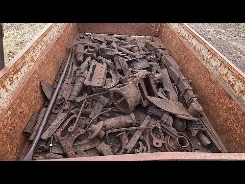 Видео: Собираем урожай на ПОЛЕ ЧУДЕС!!! МЕТАЛЛО КОП