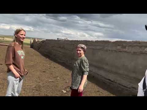 Видео: Қазақша отбасы. Блогер Альбина.