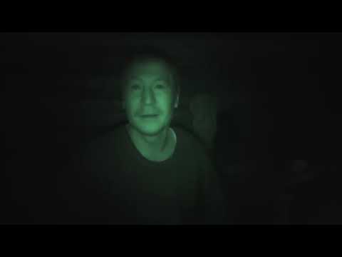 Видео: Изюбрь на отстое