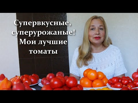 Видео: Что-то больше чем просто помидоры! Cамые урожайные томаты лучшие сорта и гибриды в этом сезоне
