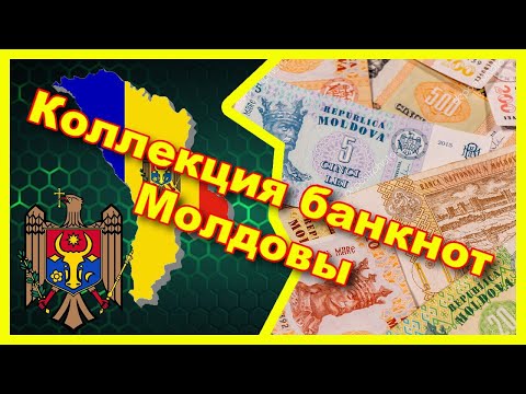 Видео: Моя коллекция банкнот Молдовы 🇲🇩/ My collection banknotes of Moldova 🇲🇩