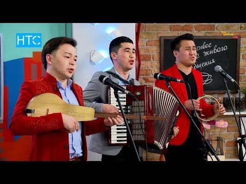 Видео: «Калкан» тобу: «Максатыбыз - эски ырларга жан киргизүү» / Таң Шоола / НТС