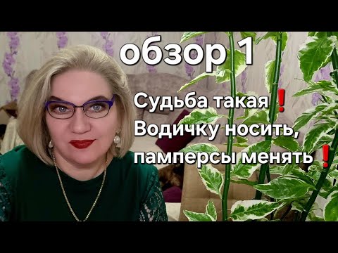 Видео: Судьба такая❗️Водичку носить, памперсы менять❗️