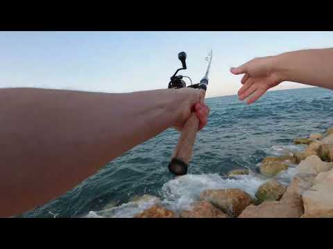 Видео: Ловлю ставриду на самодур с берега. Cтаврида как ловить. Самодур на ставриду. #fishing #ставрида.