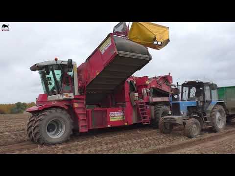 Видео: Такую ТЕХНИКУ вы точно НЕ ВИДЕЛИ! На уборке картофеля Grimme EVO 290, Grimme SF 150-60.