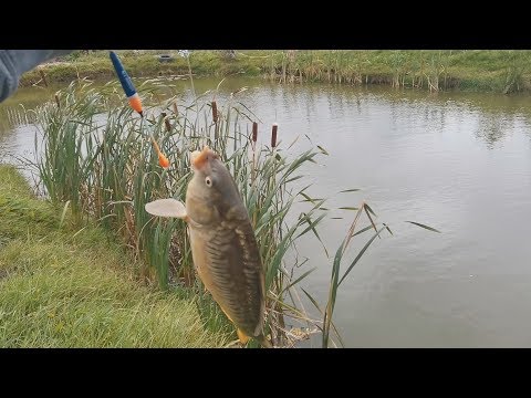 Видео: ПРОБЛЕМЫ ОСЕНЬЮ В ВОДОЕМЕ НА ДАЧЕ!МОЙ ПРУД НА УЧАСТКЕ!ПРУД БЕЗ ПЛЕНКИ!