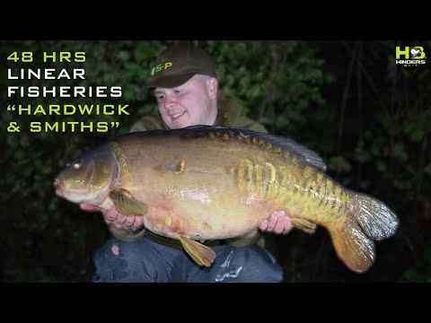Видео: Ловля карпа в Хардвике и Смитс