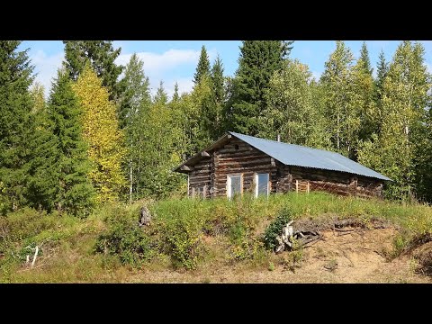 Видео: Путешествие на Ямозеро Ч21. Лесная изба охотничье зимовье. Река Мезенская Пижма. Один в глухой тайге