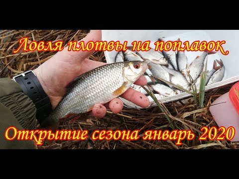 Видео: Открытие поплавочного сезона Январь 2020.