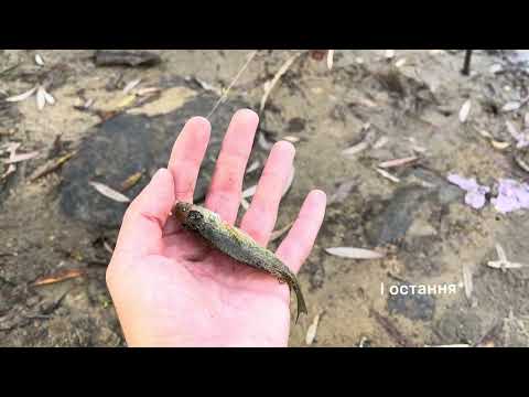 Видео: Рибалка, яка вона є. В жовтні!