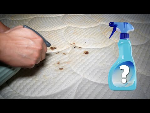 Видео: Эффективные методы самостоятельного удаления въевшихся пятен крови с матраса спустя 7 лет