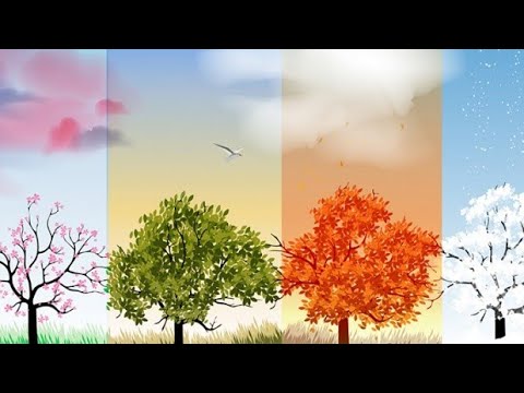 Видео: Чому на Землі існують пори року. Відео для дітей. Природознавство другий клас.