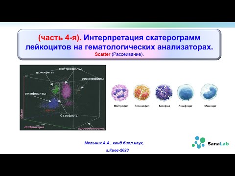 Видео: Интерпретация скатерограмм лейкоцитов на гематологических анализаторах