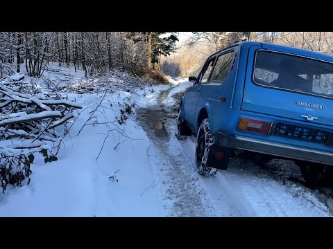 Видео: #17 Давай катнем на стоке, говорили они... Нива 2121 на ВЛИ5 в снег.