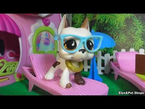 Видео: LPS фильм: ЖИЗНЬ С НУЛЯ