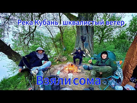 Видео: Кубань рыбалка 2025 Варениковка ,  сазан спит,  порадовал сом кубанский .