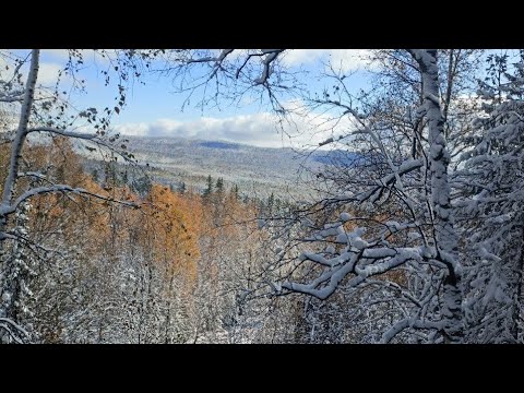 Видео: Вот где сказка  зима пришла красоту принесла 