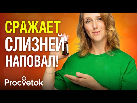 Видео: СЛИЗНИ БОЯТСЯ ЭТОГО КАК ОГНЯ! Лучшие средства от слизней – протестировали и показываем результат