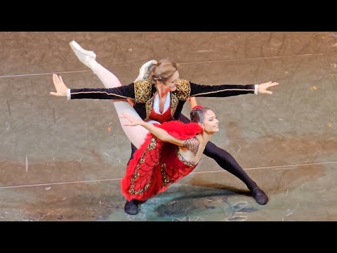 Видео: Дон Кихот Па Де Де из 3-го акта Денис Родькин Мария Кошкарева Большой театр 28.10.2025