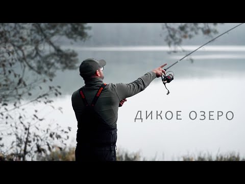 Видео: Тайна дикого озера! Лучшие кормушки для Фидера. Патерностер. Серия 26.
