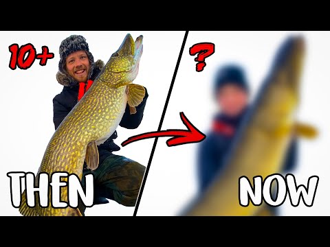 Видео: ВОЗВРАЩЕНИЕ НА ОЗЕРО С  ТРОФЕЙНОЙ ЩУКОЙ (10 КГ+) - Подледная Рыбалка | Team Galant