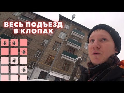 Видео: КЛОПЫ НЕ ИСЧЕЗЛИ после обработки — о чем это говорит?