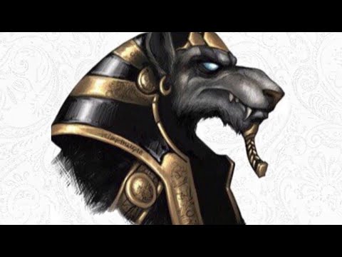 Видео: Вопрос ответ с Марией Мацкан .