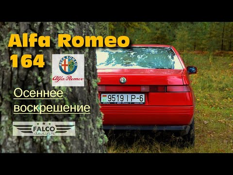 Видео: Alfa Romeo 164. Осеннее воскрешение.
