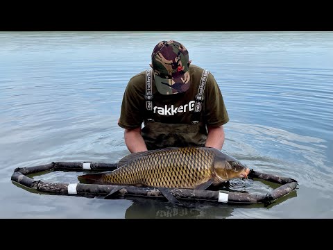 Видео: Карпфишинг в жару🌞🐟   Рыбалка, июль 2023