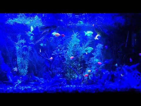 Видео: Июльские заботы