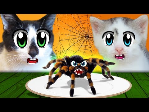 Видео: ОБЫЧНАЯ ЕДА ПРОТИВ ХЭЛЛОУИН ЕДЫ! КОТ и КОШЕЧКА МУРКА и Halloween Food vs REAL FOOD ЧЕЛЛЕНДЖ