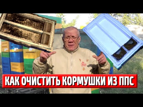 Видео: Кормушка для пчел. Как очистить кормушку.