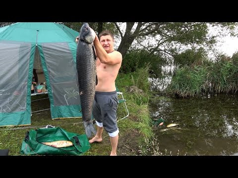 Видео: Подводная Охота на Речного Монстра. Как Копают Клады. Нашли Серебро.