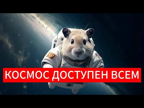 Видео: Космос доступен как животным, так и людям!
