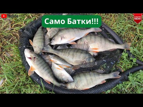 Видео: Батките на яз. Бели Лом!