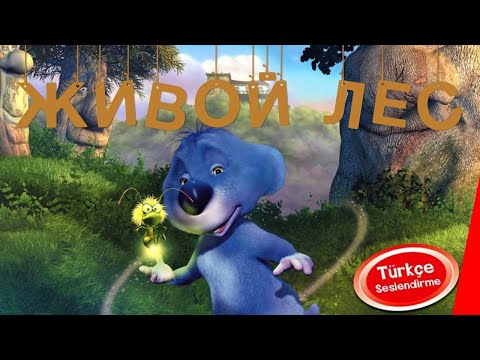 Видео: ЖИВОЙ ЛЕС (2001) мультфильм