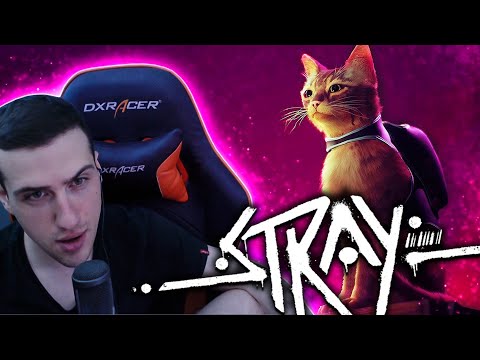 Видео: HELLYEAHPLAY ИГРАЕТ В STRAY #1