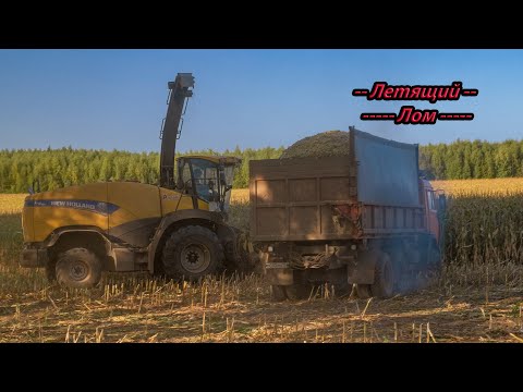 Видео: Уборка кукурузы 2021! New Holland FR500!