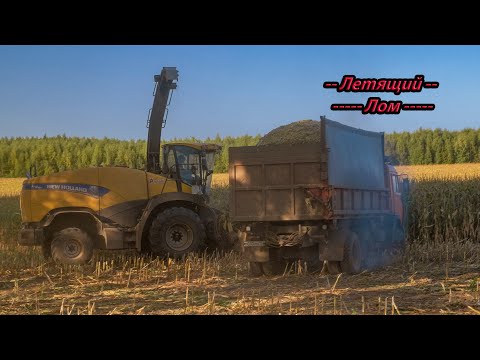 Видео: Уборка кукурузы 2021! New Holland FR500!