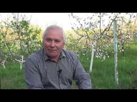 Видео: Два разных состояния. ( Валерий Дидорчук )