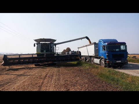 Видео: Наконец то соя підсохла